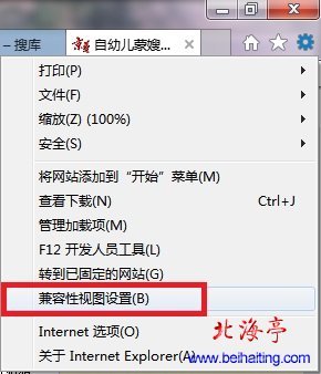IE11无法播放在线视频怎么办?