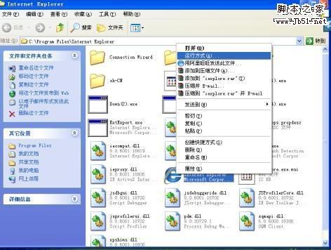 IE8在登录淘宝时自动关闭或内存指令错误的原因及解决方法