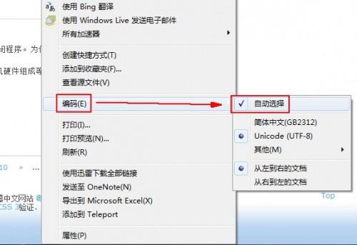 IE浏览器的语言显示问题