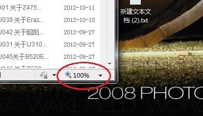 IE浏览器无法进行网页缩放比例调整(重置IE无效)解决方案