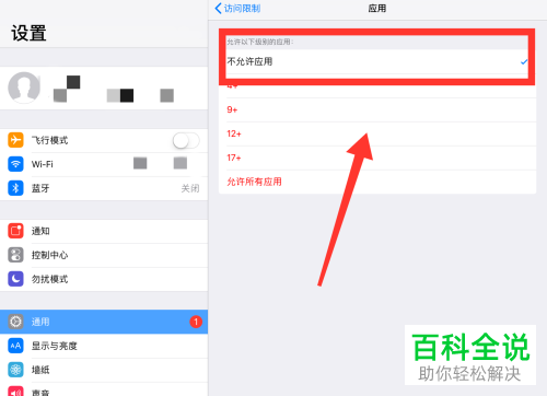 iPad桌面应用可以设置密码吗