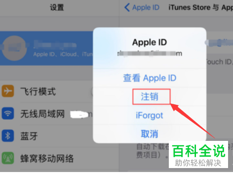 iPad如何将Apple账号注销登录