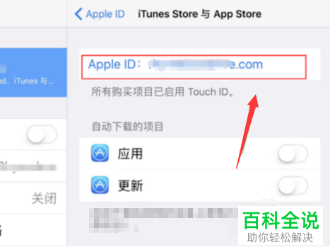 iPad如何将Apple账号注销登录