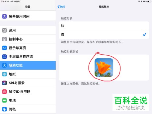 iPad苹果平板的触感触控时间如何设置