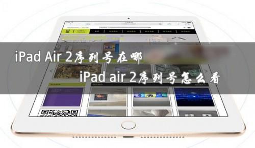iPad Air 2序列号在哪里?iPad air2序列号查看方法图文介绍