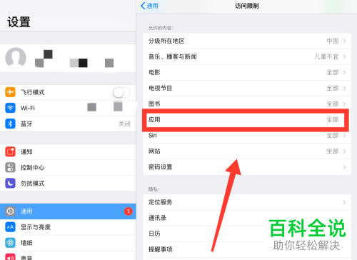 iPad桌面应用可以设置密码吗