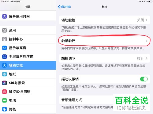 iPad苹果平板的触感触控时间如何设置