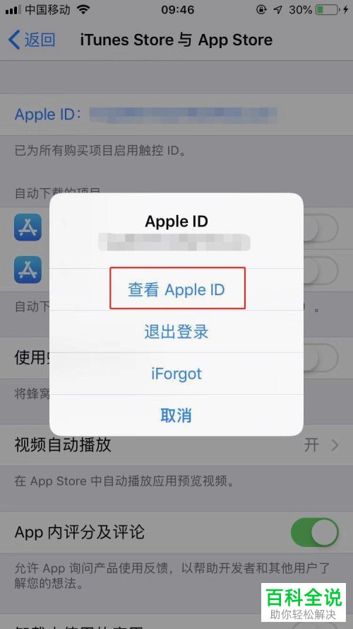 iPhone手机怎么查看Apple ID余额