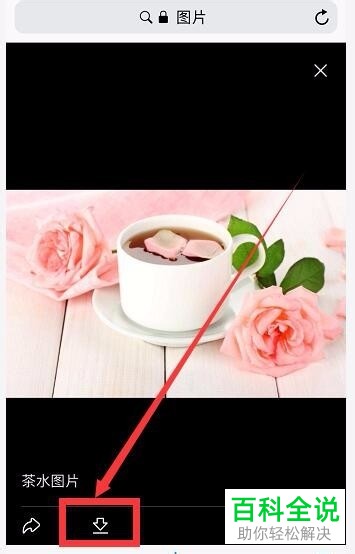 iPhone苹果手机如何解决不能保存百度图片的问题