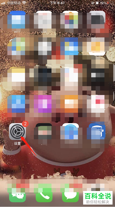 iPhone11手机怎么开启省流量模式