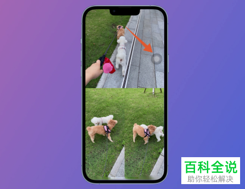 iPhone手机如何制作拼图