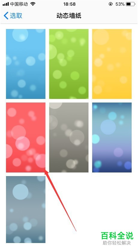 iPhone8苹果手机如何在桌面上设置动态壁纸