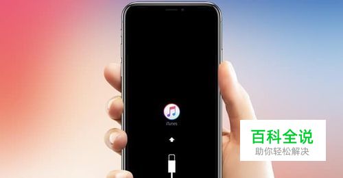 iPhoneX进水后无限白苹果怎么办