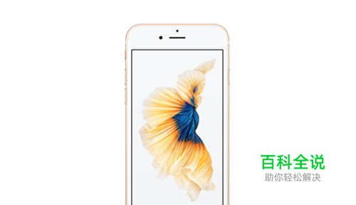 iPhone6s听筒清理教程