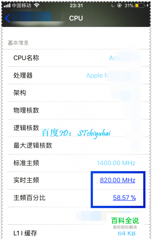 iphone降频怎么处理