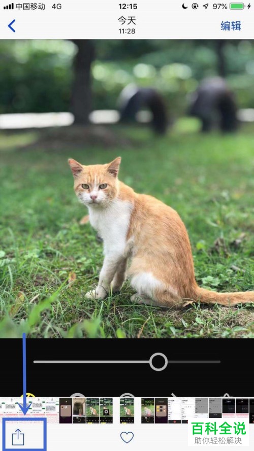 iPhone手机如何打印相册图片