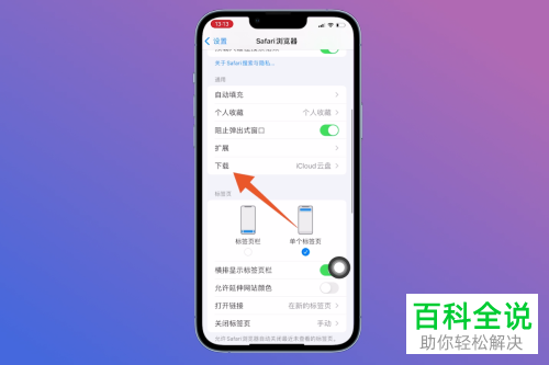 iPhone手机如何找到并删除Safari浏览器下载文件