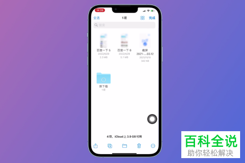 iPhone手机如何找到并删除Safari浏览器下载文件