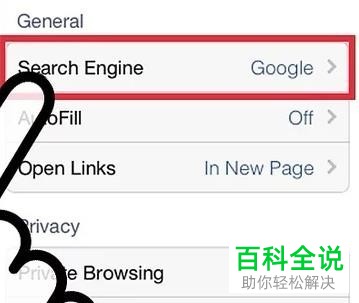 iPhone手机如何修改Safari默认搜索引擎