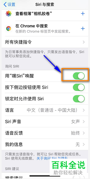 iPhone手机如何彻底关闭Siri