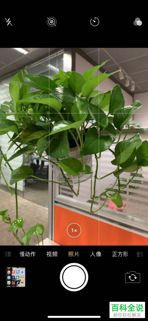 iPhone苹果手机相机拍照时如何显示网格线