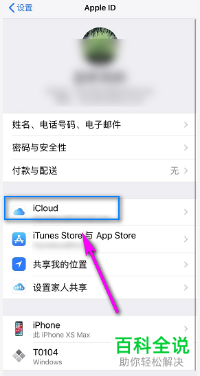 iphone苹果手机中iCloud存储满了该如何删除其中的项目