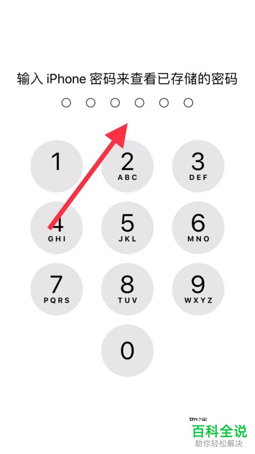 iPhone苹果手机怎么查看保存的悟空问答密码