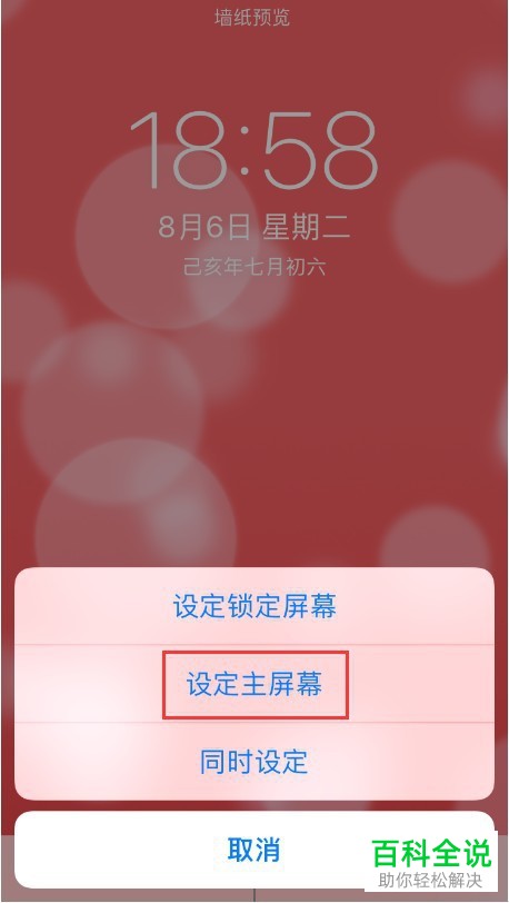 iPhone8苹果手机如何在桌面上设置动态壁纸