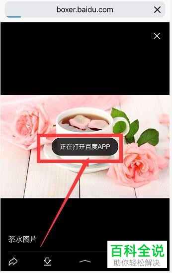 iPhone苹果手机如何解决不能保存百度图片的问题