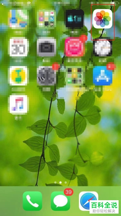 iPhone手机如何将相册照片制作成幻灯片