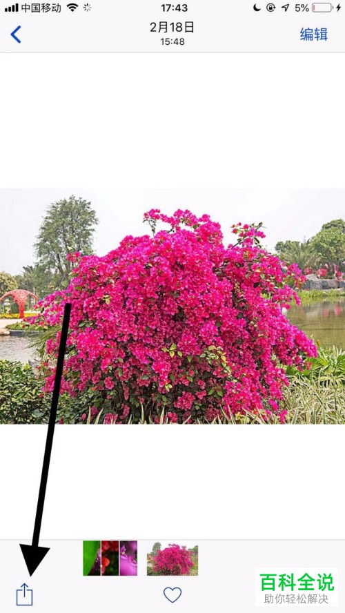 iphone苹果手机如何对照片进行隐藏