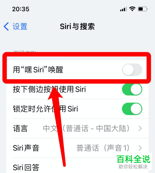 iPhone手机如何设置Siri唤醒声音