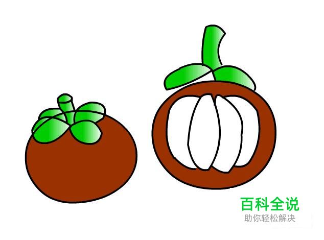 简笔画：如何使用Flash绘制出山竹