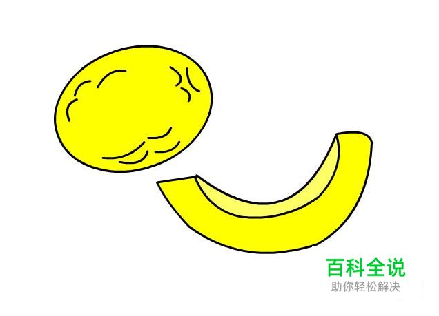 简笔画：如何使用Flash绘制出哈密瓜