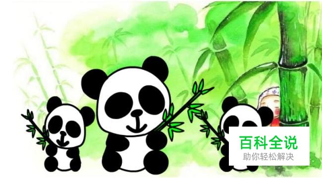 简笔画：如何使用Flash绘制熊猫