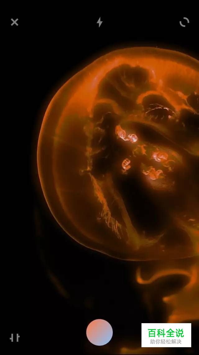 渐变UI设计欣赏—红蓝渐变日出地平线