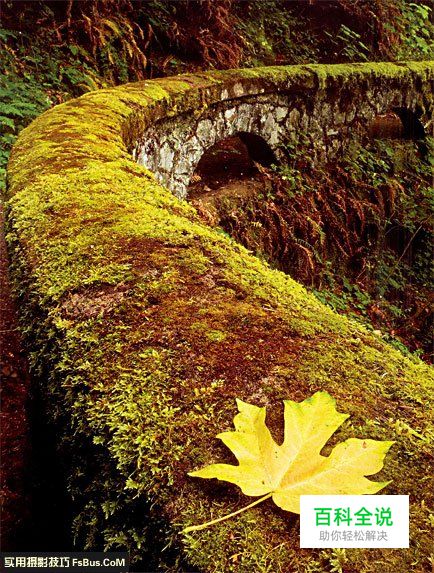 简单10招拍出漂亮的风光照