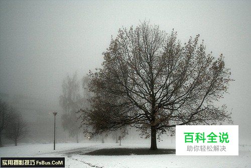 简单10招拍出漂亮的风光照