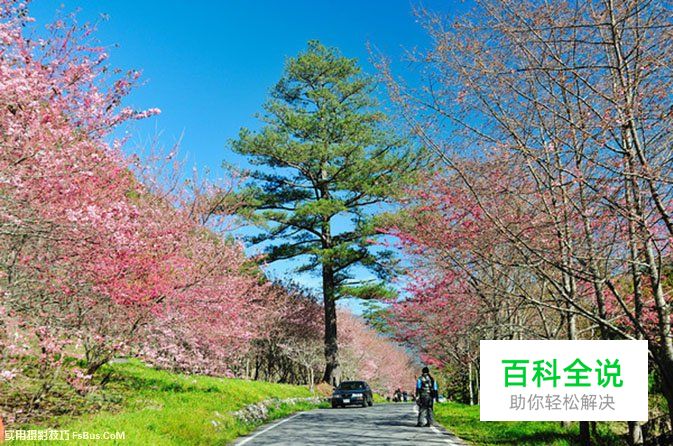 简单5招教你拍出漂亮蓝天