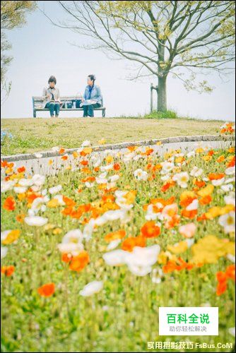 简单6招拍出不一样的花卉照片