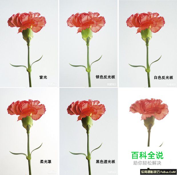 简单道具打造创意布光