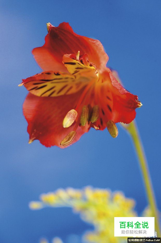 简单道具打造创意布光