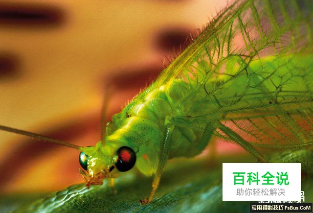 简单道具打造创意布光