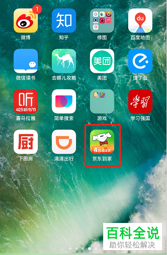 京东到家小额免密额度如何设置为300元/笔？