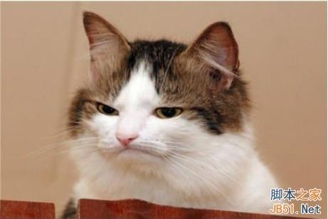 解读:为啥微信里的声音听起来不像你?