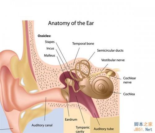 解读:为啥微信里的声音听起来不像你?