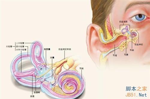 解读:为啥微信里的声音听起来不像你?