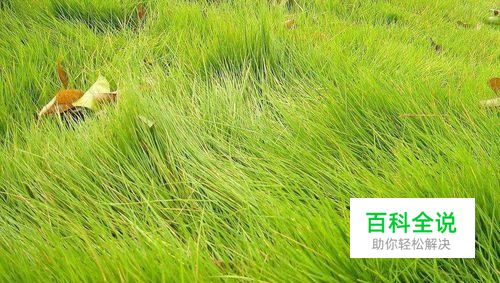 京东一元夺宝怎么进入