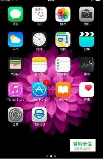 解决iphone登录App提示“请检查网络连接”问题
