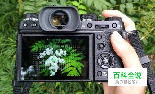 纠结相机到底怎么用才对？